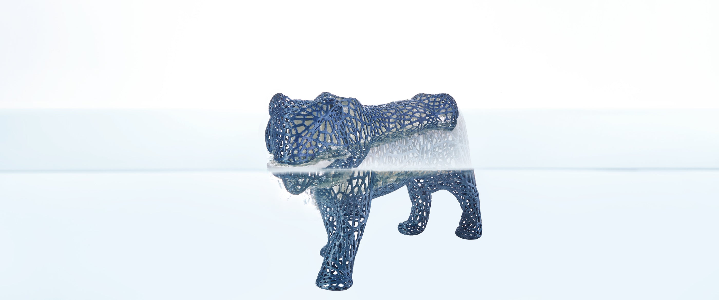 ANYCUBIC3D-US