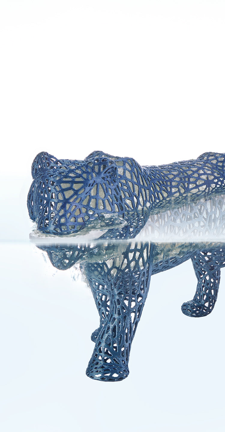 ANYCUBIC3D-US