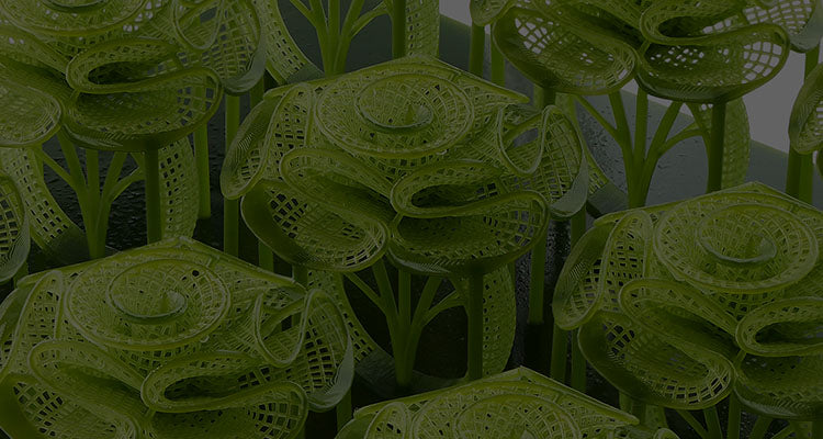 ANYCUBIC3D-US