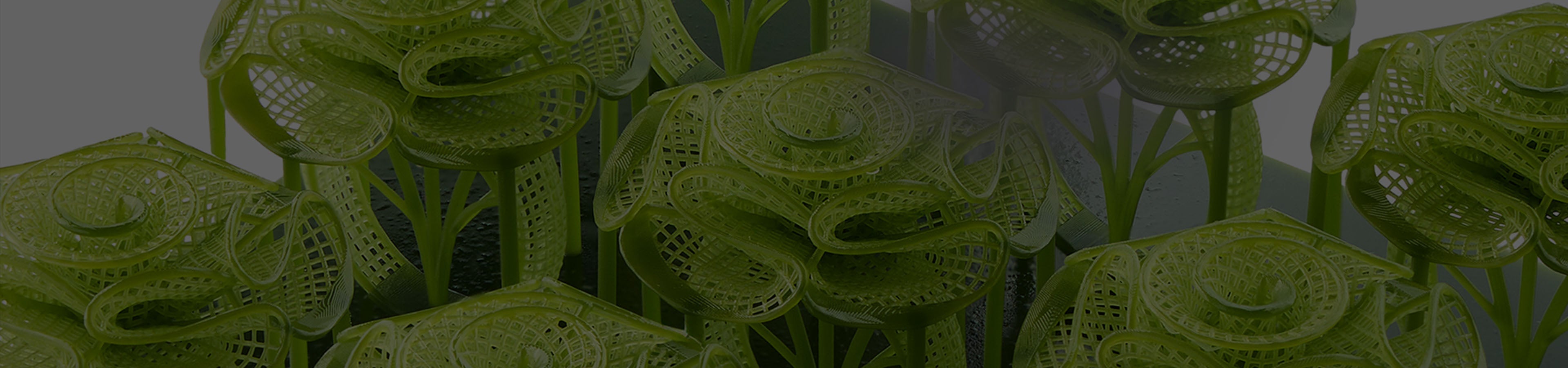 ANYCUBIC3D-US