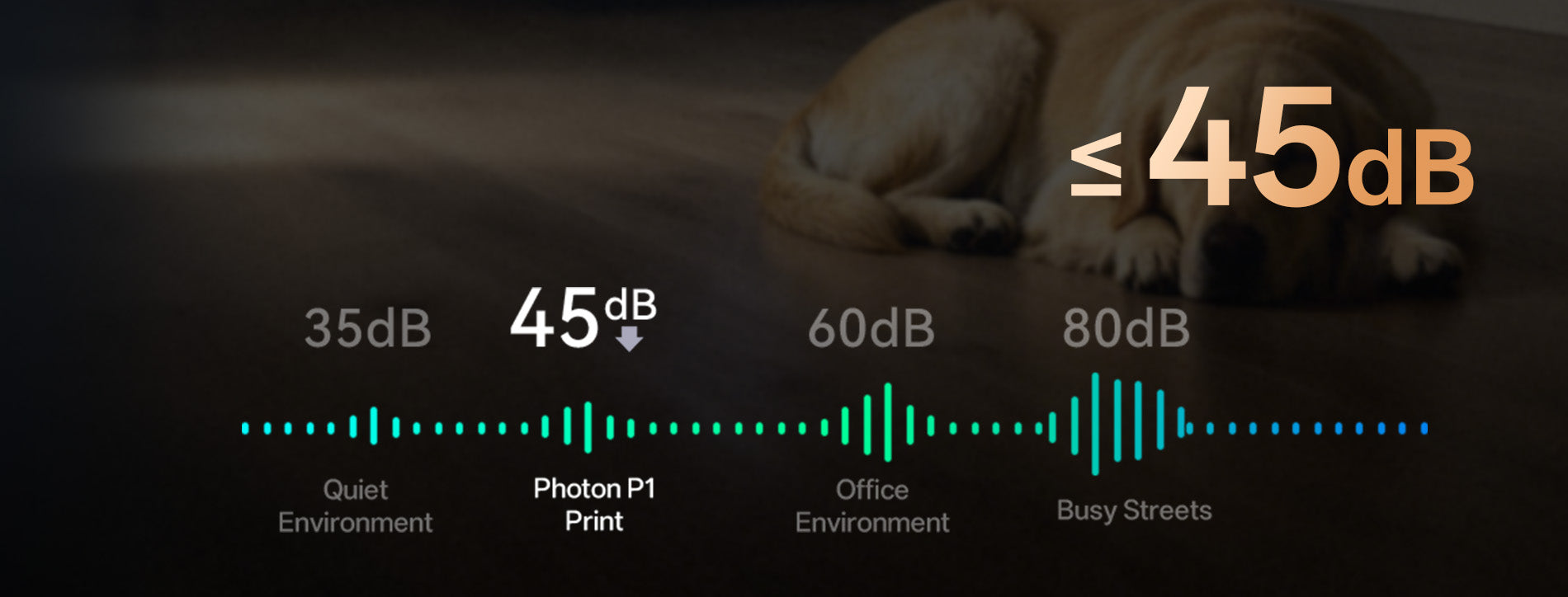 ANYCUBIC3D-US